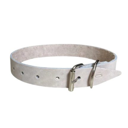 Coleira para cachorro em couro comum tamanho 08 -PROMASTER